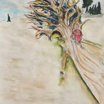 El árbol como refugio personal